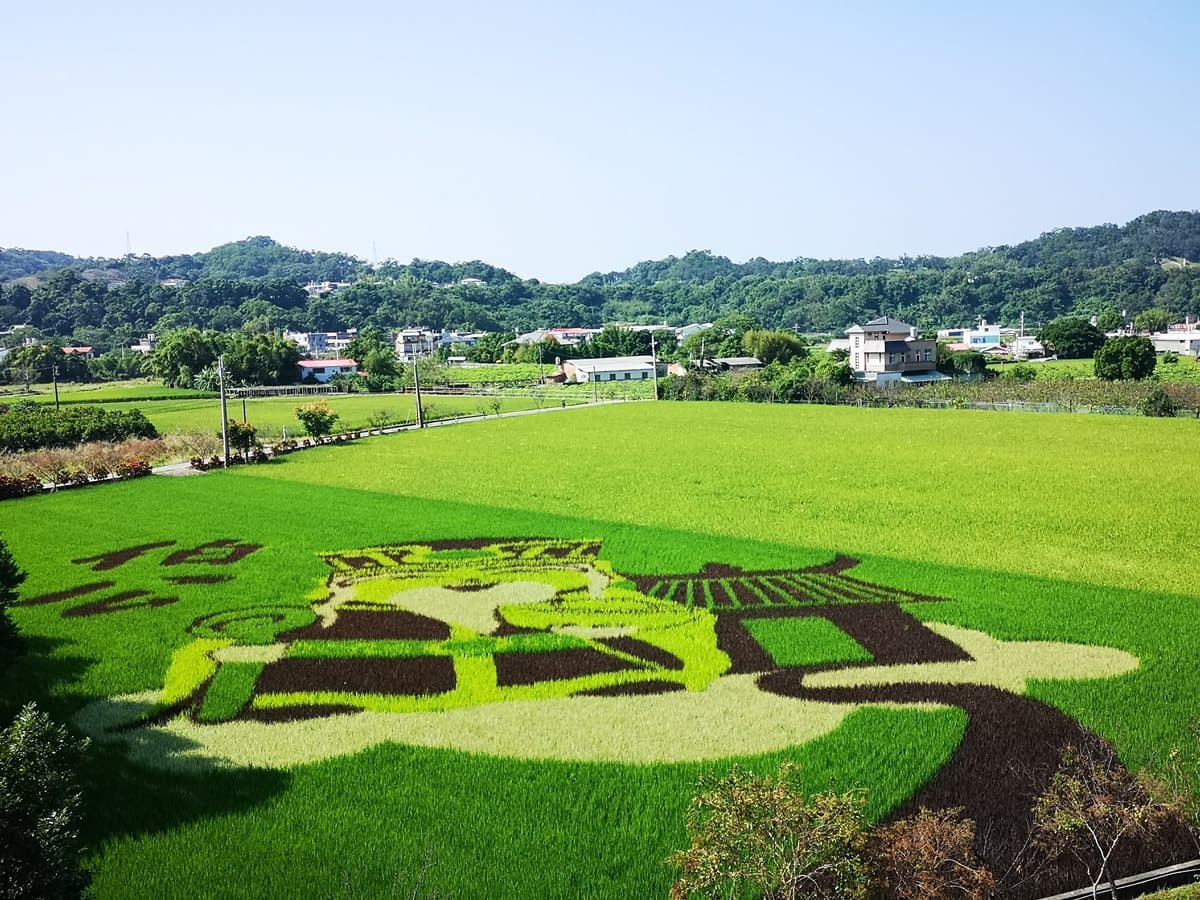 神來也!苗栗「巨型土地公」地景現身稻田 有神快拜啊 神來也!苗栗「巨型土地公」地景現身稻田 有神快拜啊