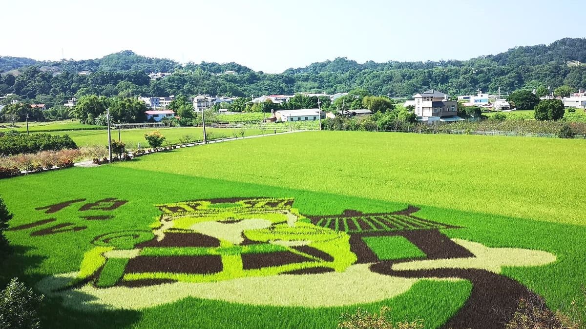 神來也!苗栗「巨型土地公」地景現身稻田 有神快拜啊 神來也!苗栗「巨型土地公」地景現身稻田 有神快拜啊