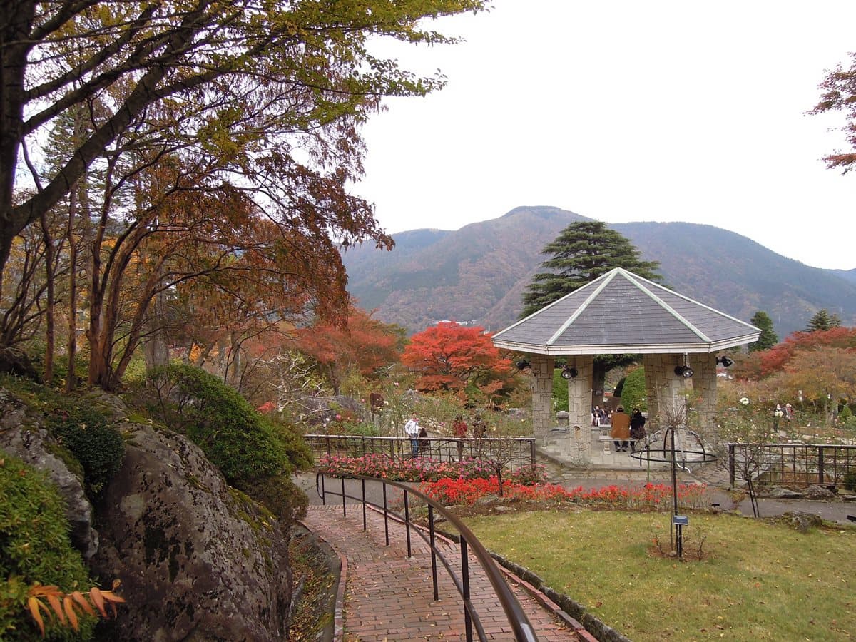 旅日達人提案!東京最佳賞楓路線→第2站紅葉環繞中泡湯,卓別林也來過 旅日達人提案!東京最佳賞楓路線→第2站紅葉環繞中泡湯,卓別林也來過