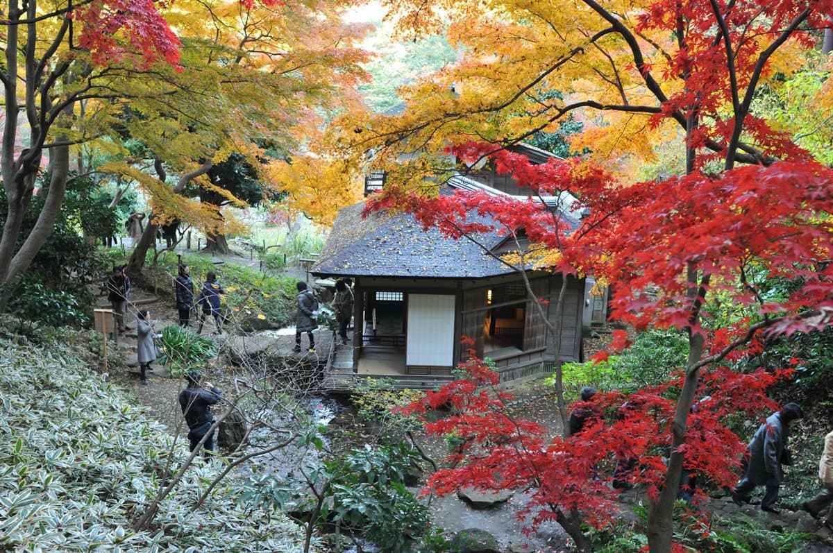旅日達人提案!東京最佳賞楓路線→第2站紅葉環繞中泡湯,卓別林也來過 旅日達人提案!東京最佳賞楓路線→第2站紅葉環繞中泡湯,卓別林也來過