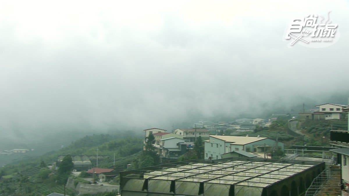網紅「Follow Me」牽手照拍攝地!想看茶園日出美景,這間民宿陽台就有 網紅「Follow Me」牽手照拍攝地!想看茶園日出美景,這間民宿陽台就有