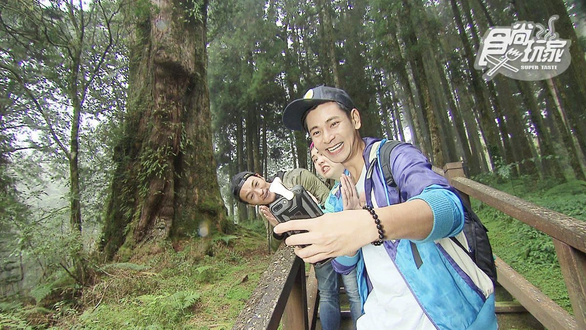 阿里山搭小火車輕鬆玩!神木區木棧道美拍、拜全台海拔最高廟宇