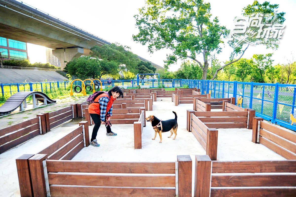 毛孩也有迷宮玩!這個寵物公園還有沙坑、波浪棧道、翹翹板 毛孩也有迷宮玩!這個寵物公園還有沙坑、波浪棧道、翹翹板