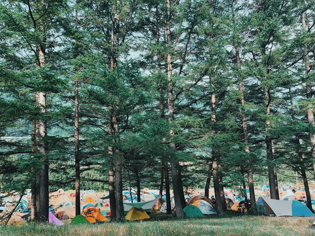 好像走進日本戶外雜誌!台灣最大「日本風露營音樂祭」手作市集超好逛 好像走進日本戶外雜誌!台灣最大「日本風露營音樂祭」手作市集超好逛