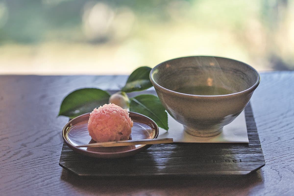 抬頭見森林、禪寺藏甜點 鎌倉「絕美景觀咖啡」必去這4家 抬頭見森林、禪寺藏甜點 鎌倉「絕美景觀咖啡」必去這4家