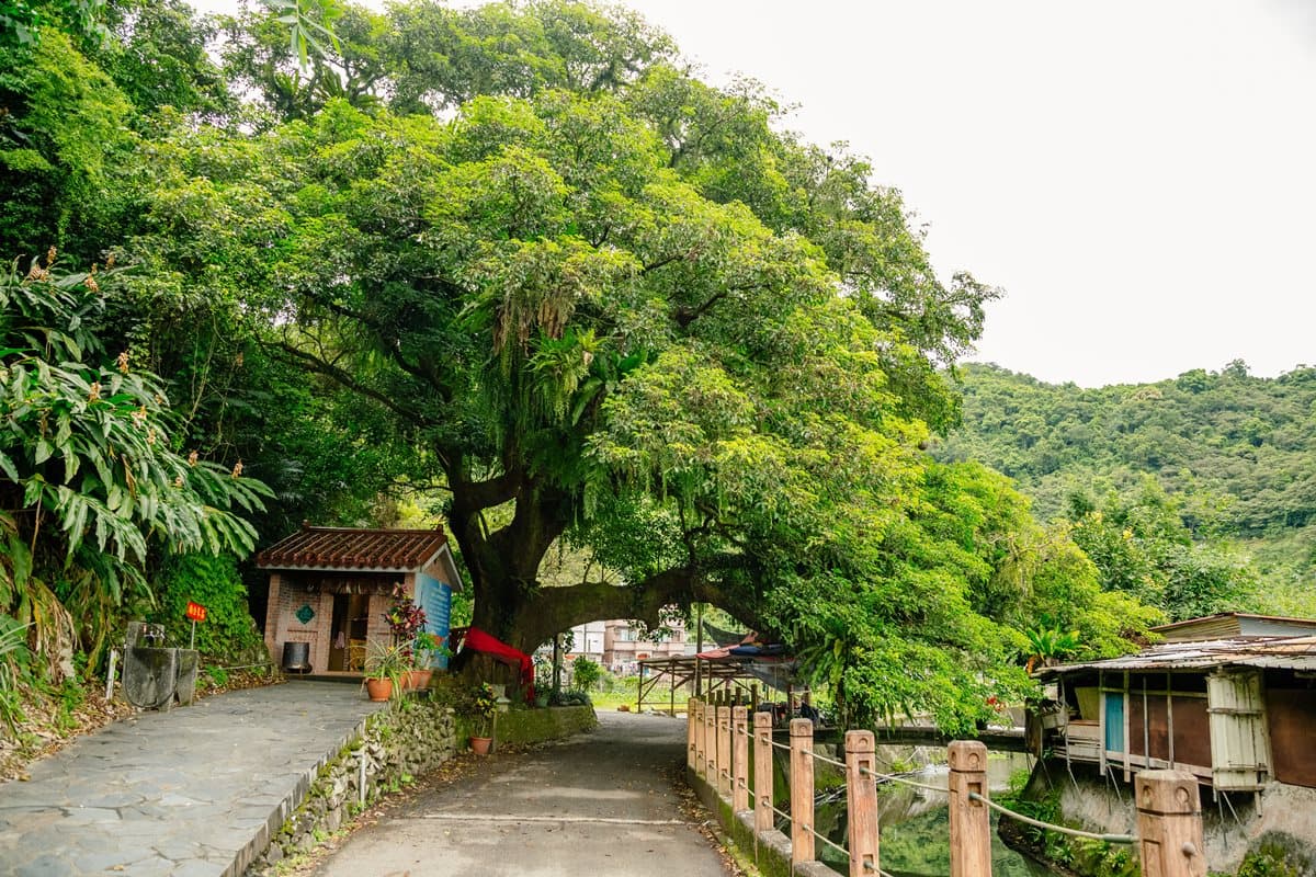 國旅補助玩宜蘭!賞芒花海、走「細姨路」秋遊6大景點 國旅補助玩宜蘭!賞芒花海、走「細姨路」秋遊6大景點