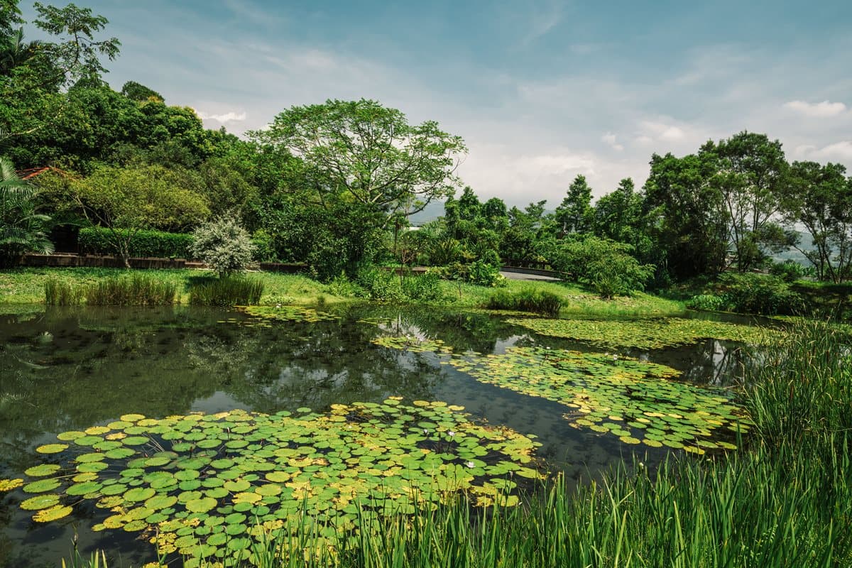 國旅補助玩宜蘭!賞芒花海、走「細姨路」秋遊6大景點 國旅補助玩宜蘭!賞芒花海、走「細姨路」秋遊6大景點