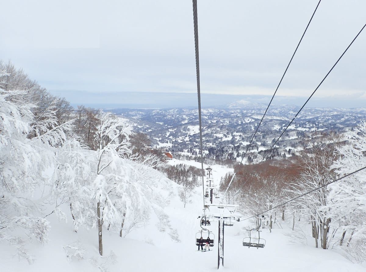 帶孩子滑雪去!玩造浪池、搭纜車 日本這3處雪場超好玩 帶孩子滑雪去!玩造浪池、搭纜車 日本這3處雪場超好玩
