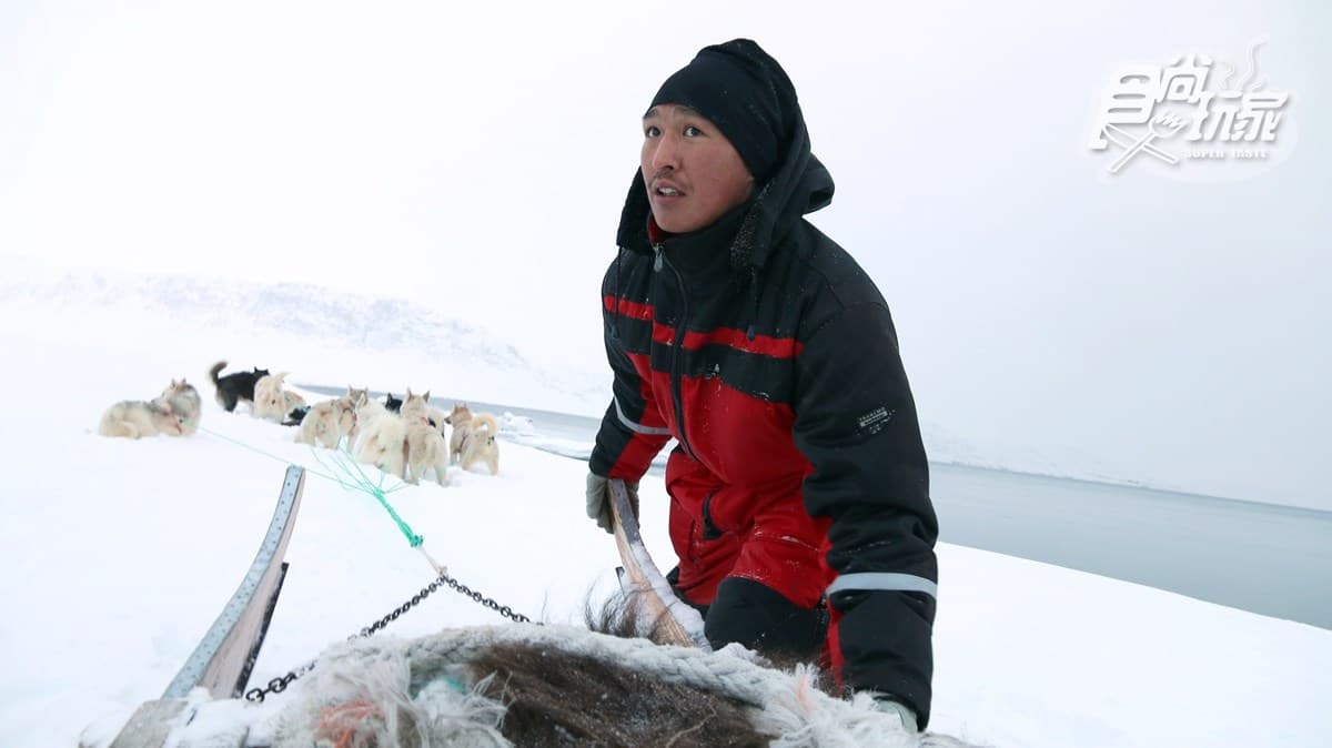 為什麼不可以摸雪橇犬?零下20度怎麼穿才暖?格陵蘭「生存守則」 為什麼不可以摸雪橇犬?零下20度怎麼穿才暖?格陵蘭「生存守則」