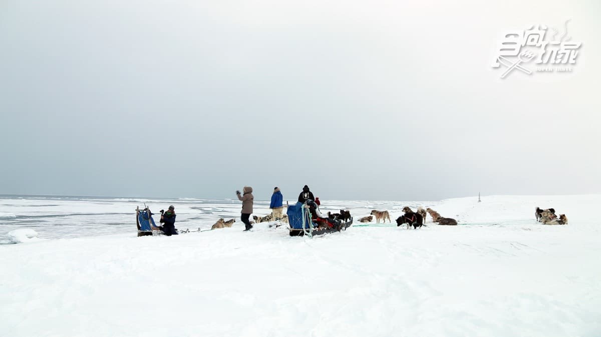 為什麼不可以摸雪橇犬?零下20度怎麼穿才暖?格陵蘭「生存守則」 為什麼不可以摸雪橇犬?零下20度怎麼穿才暖?格陵蘭「生存守則」
