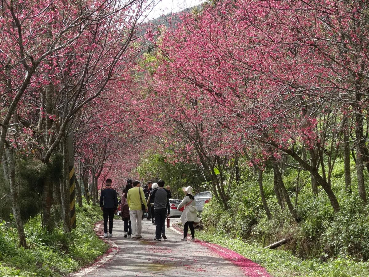 祕密客認證!全台「30大經典小鎮」票選出爐,這些地方你去過沒 祕密客認證!全台「30大經典小鎮」票選出爐,這些地方你去過沒