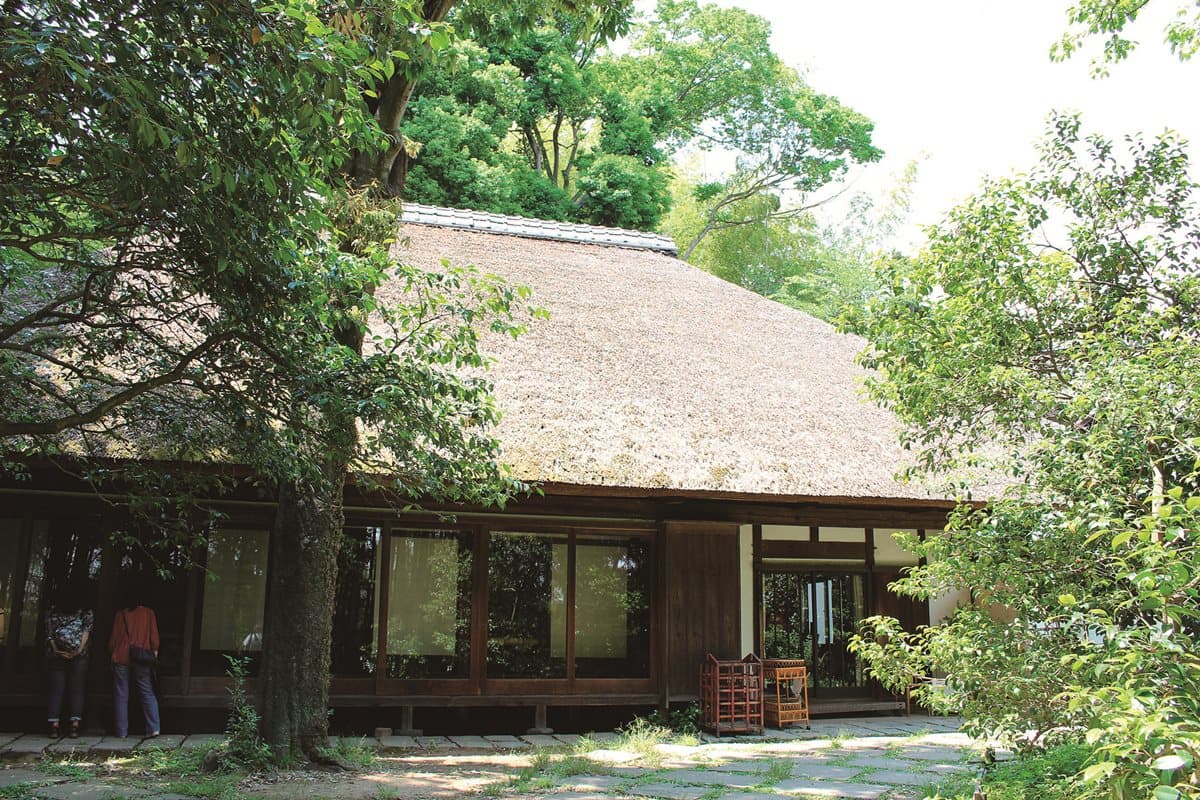 東京居然這麼美!必訪這3家「森林咖啡館」 東京居然這麼美!必訪這3家「森林咖啡館」