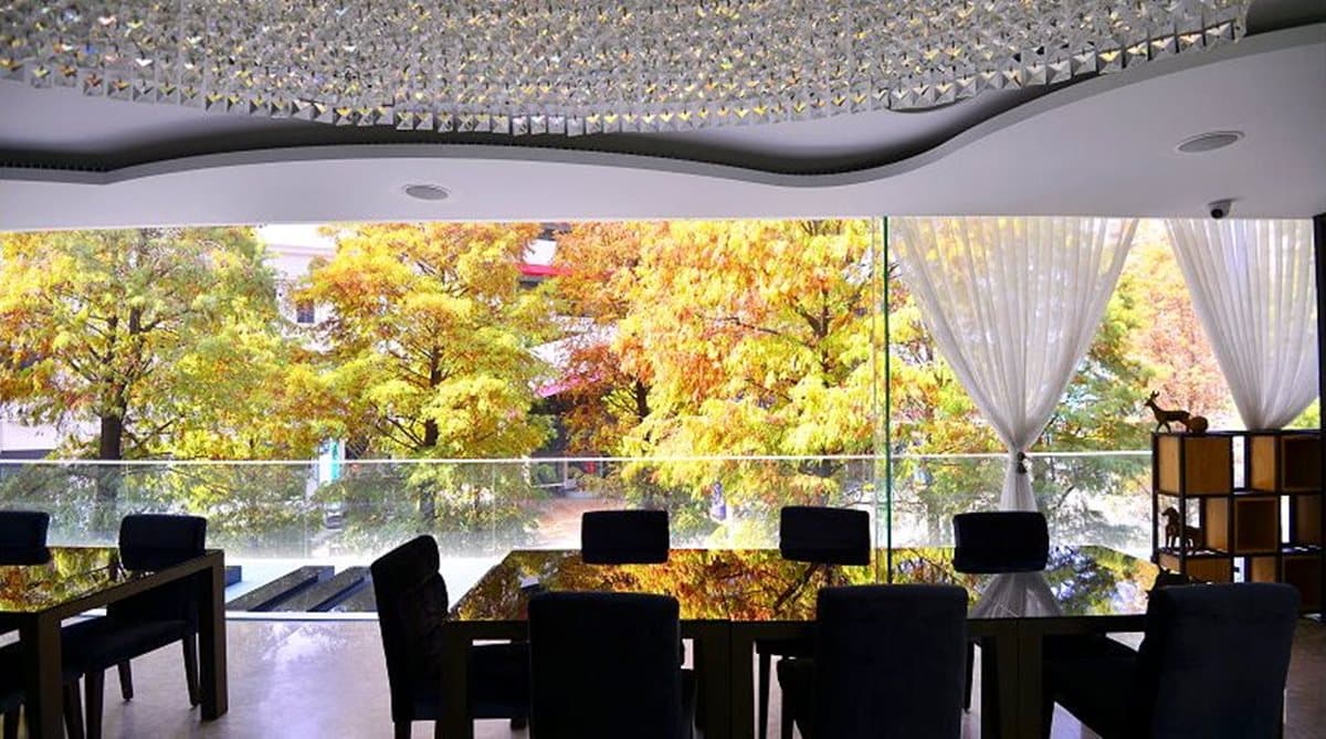 最強「落羽松窗景」!超美「鋼琴主題」景觀餐廳 IG拍不停 最強「落羽松窗景」!超美「鋼琴主題」景觀餐廳 IG拍不停