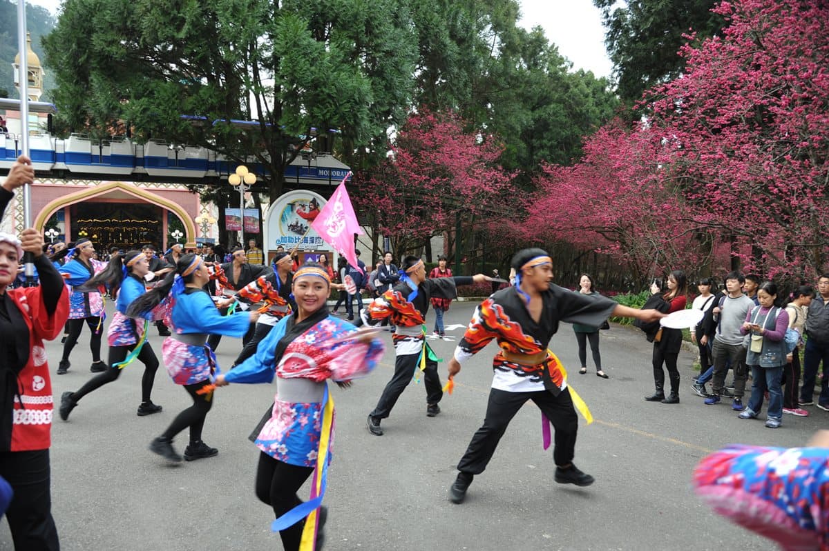 九族「賞櫻祭」開始!5千棵櫻花樹綻放,浴衣、野餐、燈光秀通通有 九族「賞櫻祭」開始!5千棵櫻花樹綻放,浴衣、野餐、燈光秀通通有