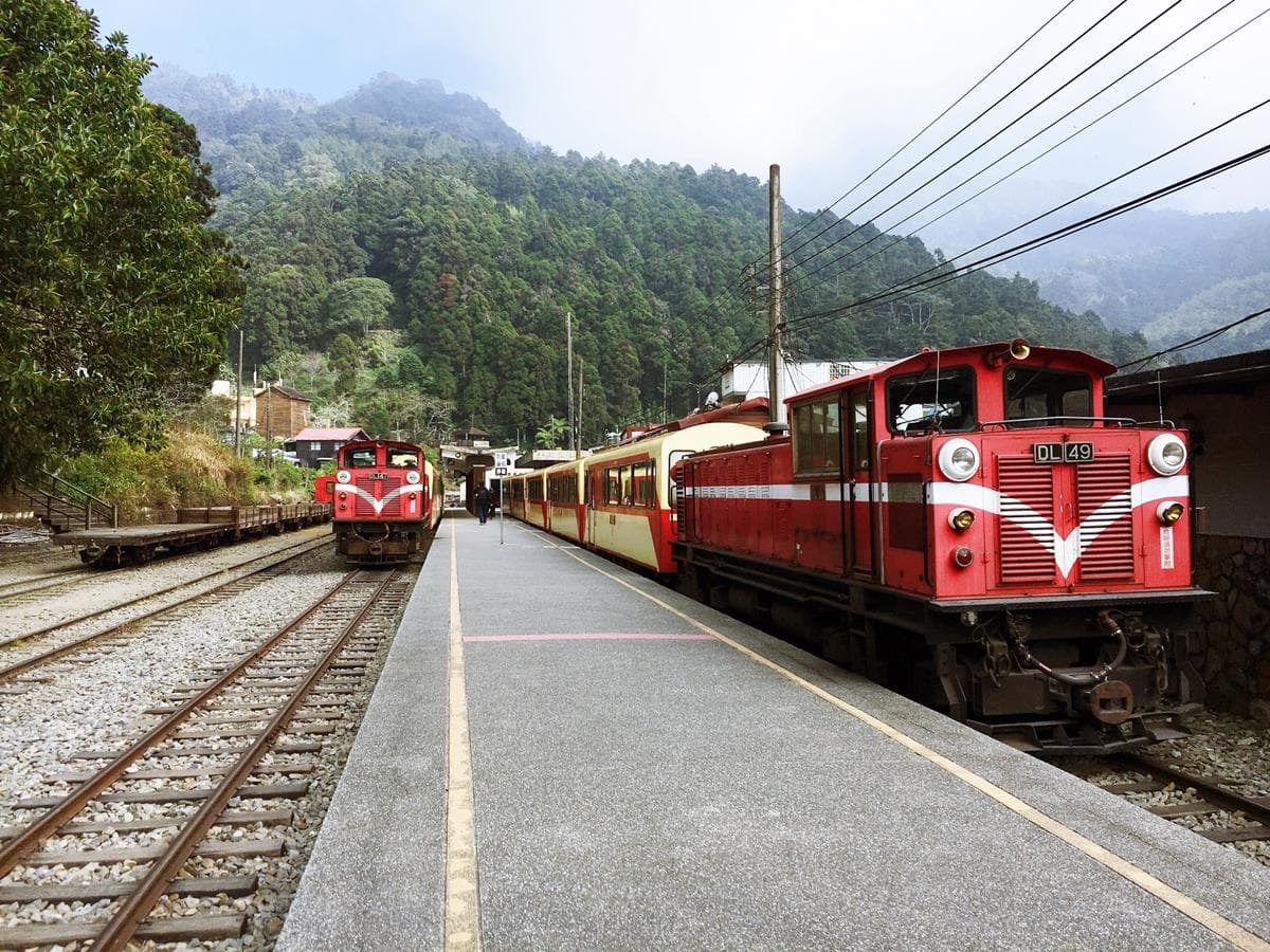 情人節限定!阿里山林鐵「1314列車」主題遊程,開放報名中 情人節限定!阿里山林鐵「1314列車」主題遊程,開放報名中
