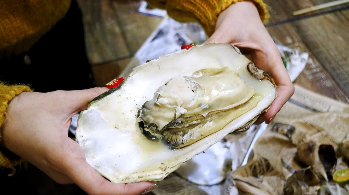 【新開店】海鮮控收口袋!超澎湃「燒烤生蠔、焗烤龍蝦」開幕一人送一顆生蠔 【新開店】海鮮控收口袋!超澎湃「燒烤生蠔、焗烤龍蝦」開幕一人送一顆生蠔