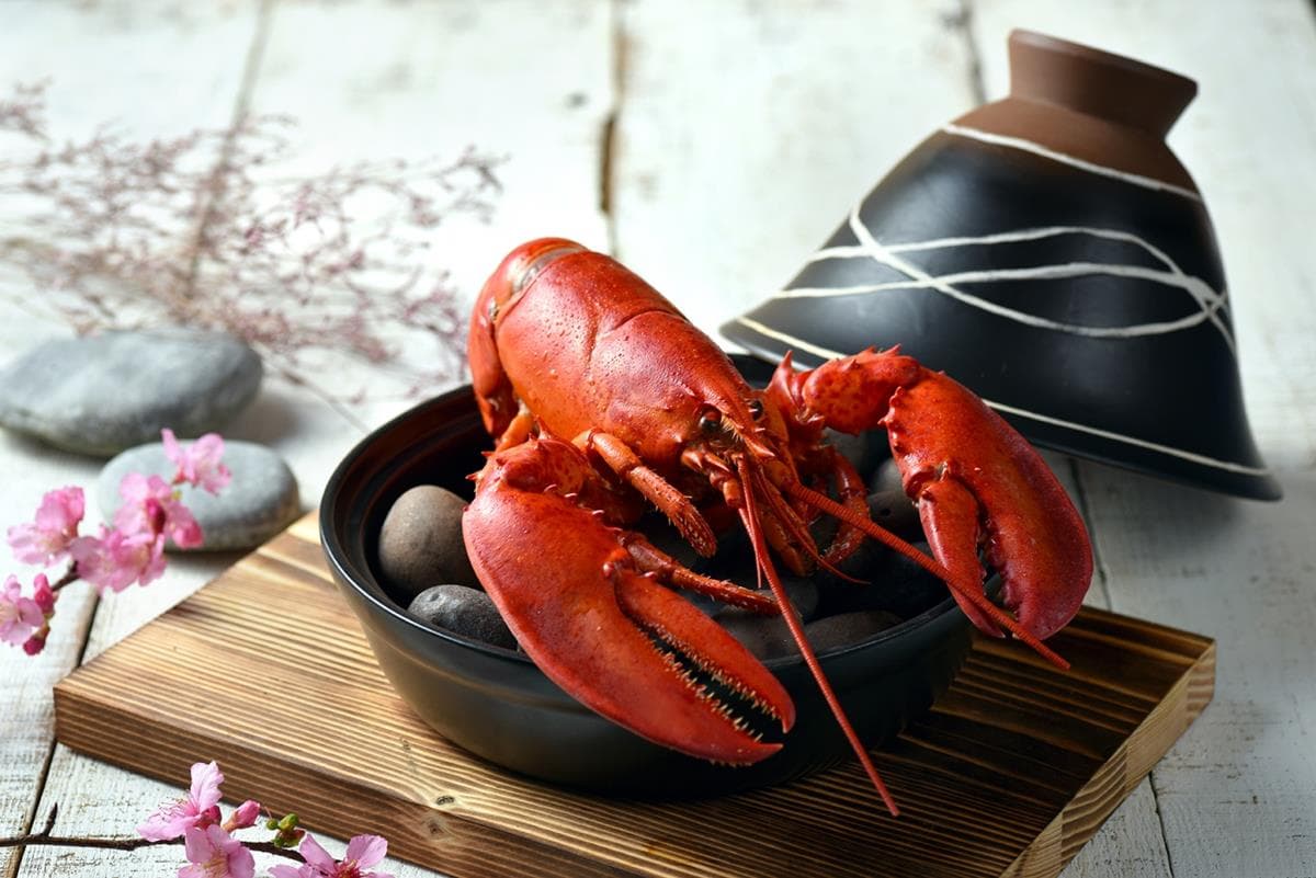 小資情侶筆記!王品4大品牌「情人節優惠」600元起 小資情侶筆記!王品4大品牌「情人節優惠」600元起