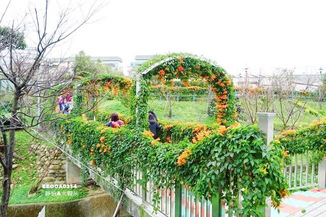 浪漫新景點!「炮仗花」拱門步道+3D立體彩繪空橋,快點拍起來 浪漫新景點!「炮仗花」拱門步道+3D立體彩繪空橋,快點拍起來