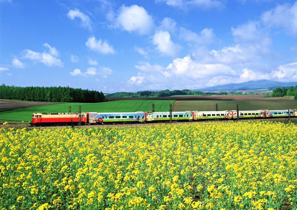 環島最新玩法!升級版「環島之星列車」3排一列旋轉座椅、卡拉OK室 環島最新玩法!升級版「環島之星列車」3排一列旋轉座椅、卡拉OK室