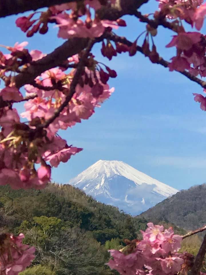 日本網紅最愛賞櫻2路線:1公里櫻花隧道、天皇下榻飯店 日本網紅最愛賞櫻2路線:1公里櫻花隧道、天皇下榻飯店
