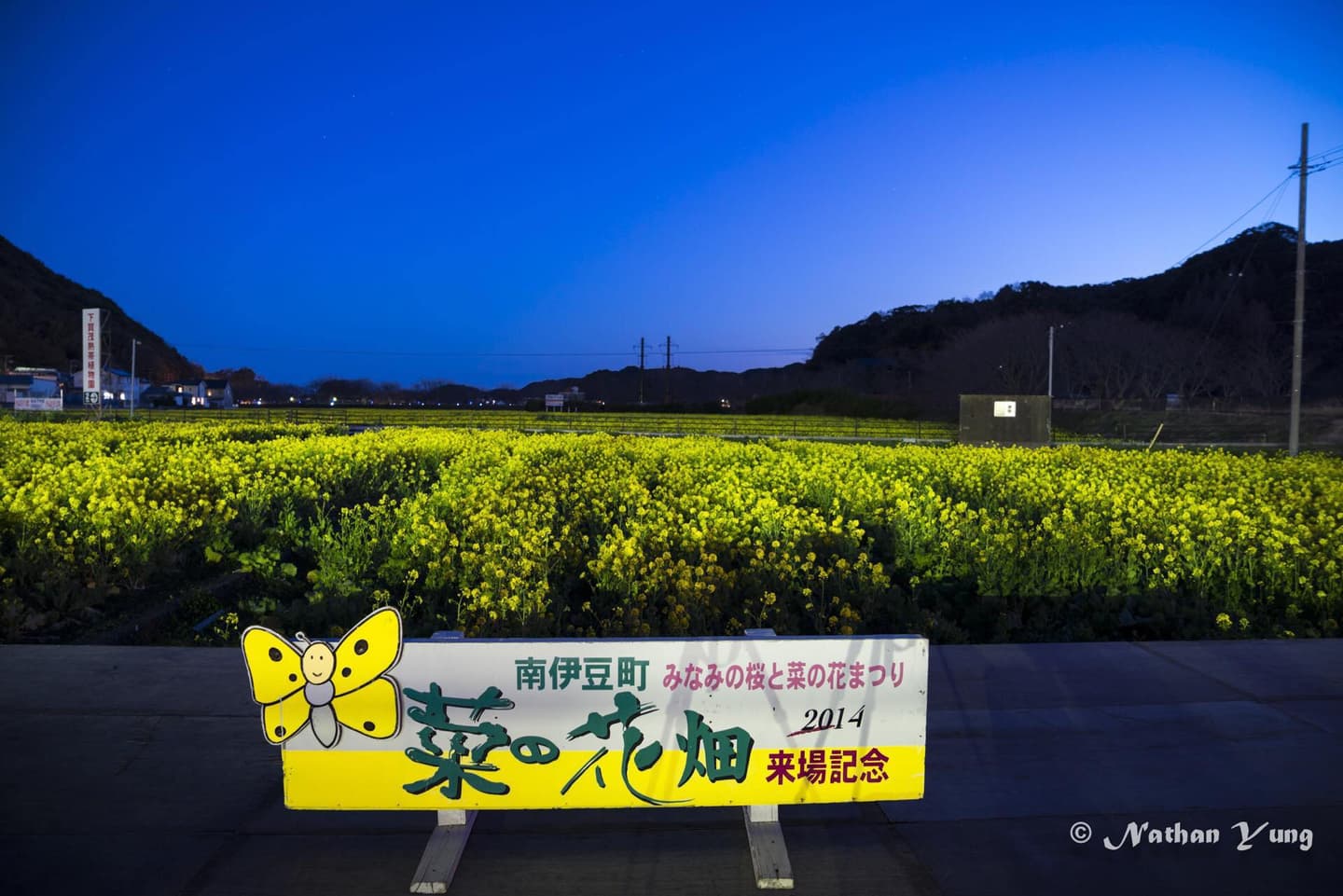 日本網紅最愛賞櫻2路線:1公里櫻花隧道、天皇下榻飯店 日本網紅最愛賞櫻2路線:1公里櫻花隧道、天皇下榻飯店