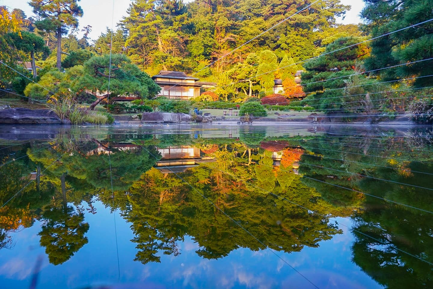 日本網紅最愛賞櫻2路線:1公里櫻花隧道、天皇下榻飯店 日本網紅最愛賞櫻2路線:1公里櫻花隧道、天皇下榻飯店