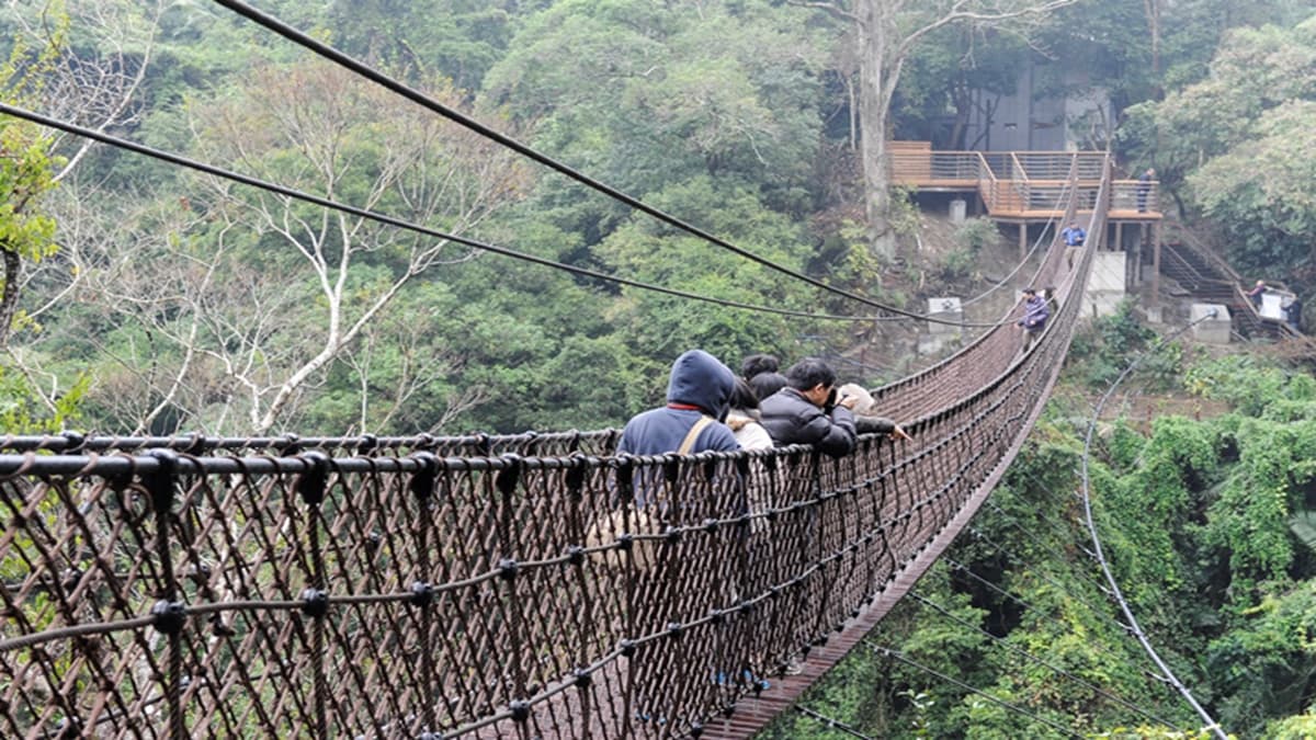 春遊好去處!桃園復興打卡6亮點:蝙蝠洞祕境、最長吊床式吊橋、美拍民宿 春遊好去處!桃園復興打卡6亮點:蝙蝠洞祕境、最長吊床式吊橋、美拍民宿