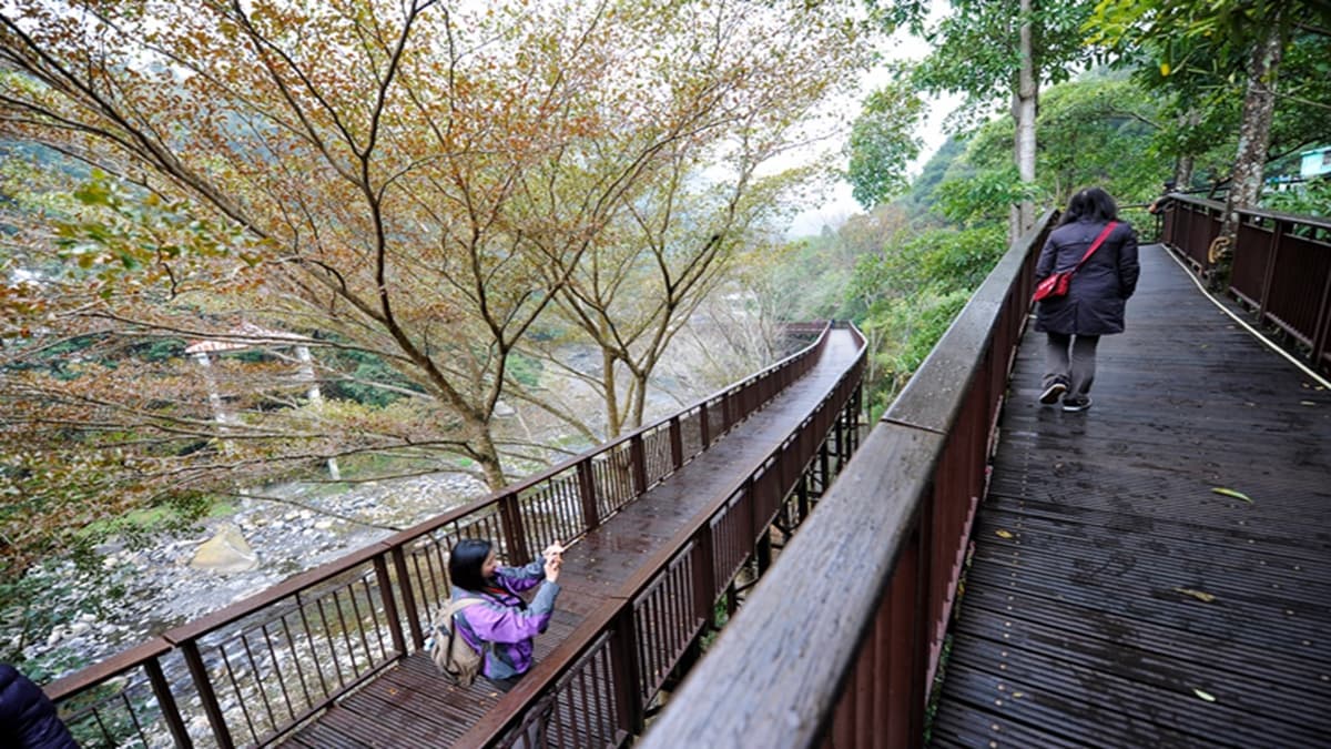 春遊好去處!桃園復興打卡6亮點:蝙蝠洞祕境、最長吊床式吊橋、美拍民宿 春遊好去處!桃園復興打卡6亮點:蝙蝠洞祕境、最長吊床式吊橋、美拍民宿