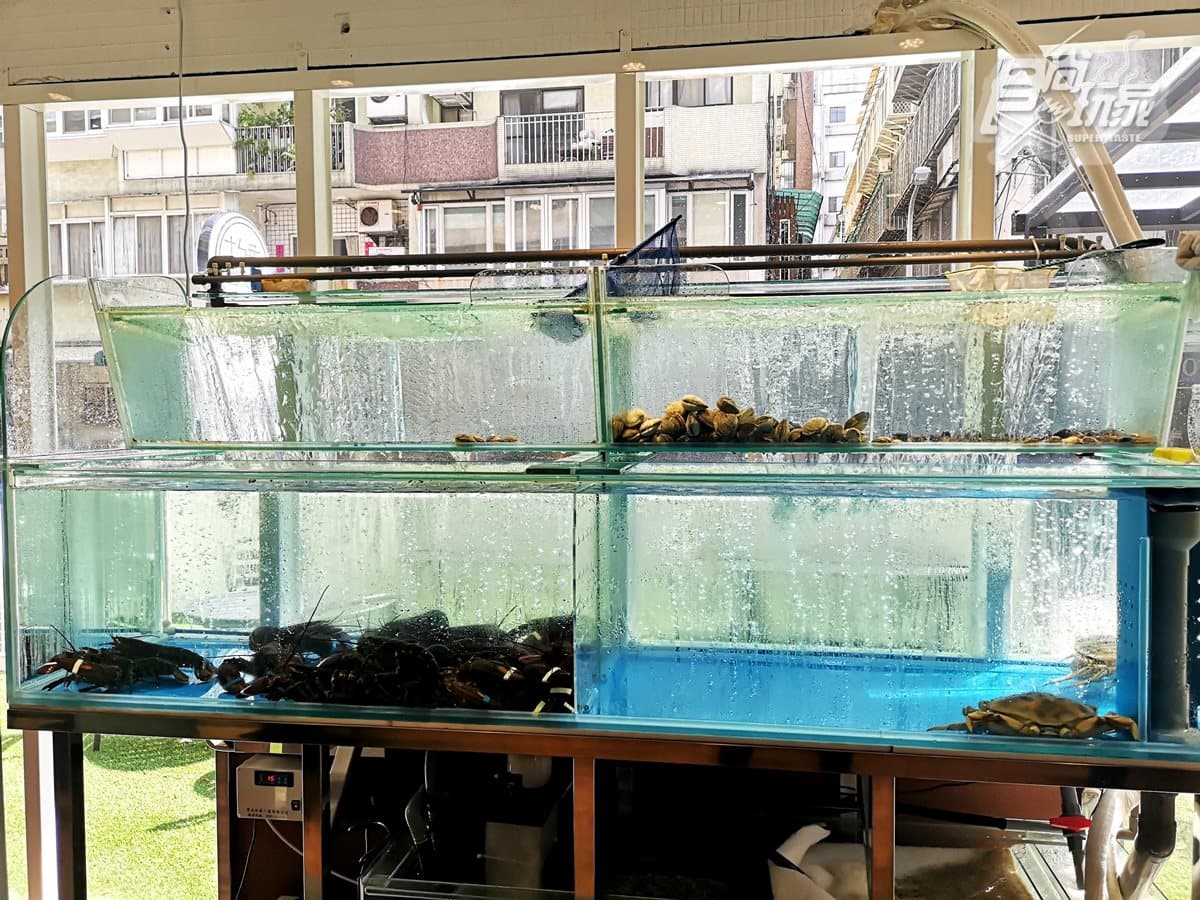 【新開店】活龍蝦只賣499!鍋物超狂CP值→身分證「5、6、8」中2碼,送2隻澎湖大明蝦 【新開店】活龍蝦只賣499!鍋物超狂CP值→身分證「5、6、8」中2碼,送2隻澎湖大明蝦