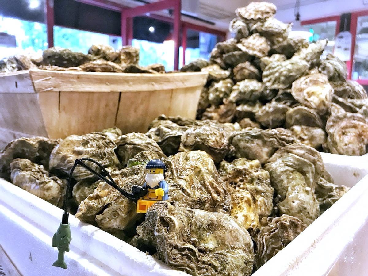 今日限定!英國人氣名店直送「生蠔吃到飽」現開現吃,每人再加一杯白酒 今日限定!英國人氣名店直送「生蠔吃到飽」現開現吃,每人再加一杯白酒