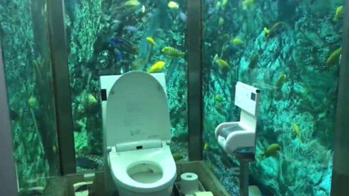 直接看你噓噓!日本打造3000萬「水族館廁所」 網驚呼:好衝擊!
