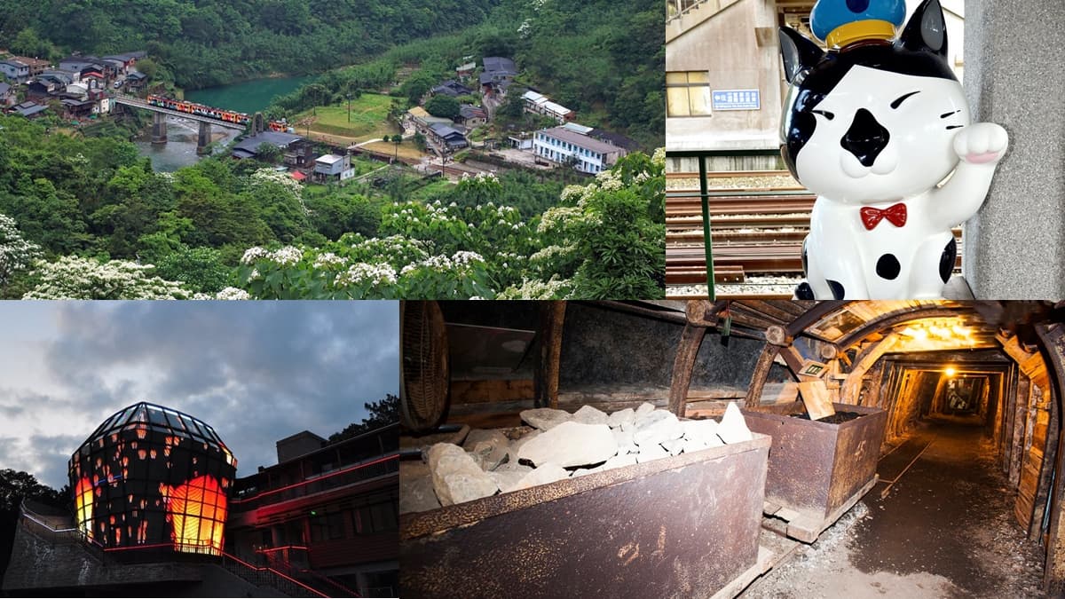 全台6大賞桐祕境!沿路玩21亮點:巨木奇景、螢火蟲趴、獨眼小火車 全台6大賞桐祕境!沿路玩21亮點:巨木奇景、螢火蟲趴、獨眼小火車