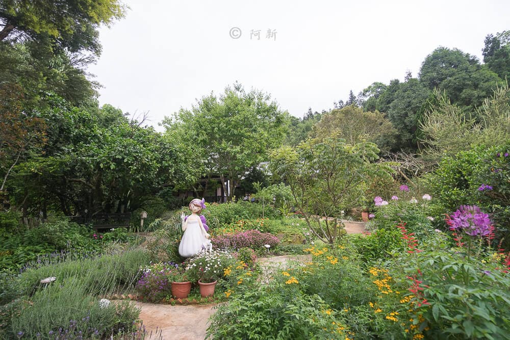 「繡球花」開了!杉林溪森林避暑賞萬株繡球花、粉紫鼠尾草田 「繡球花」開了!杉林溪森林避暑賞萬株繡球花、粉紫鼠尾草田