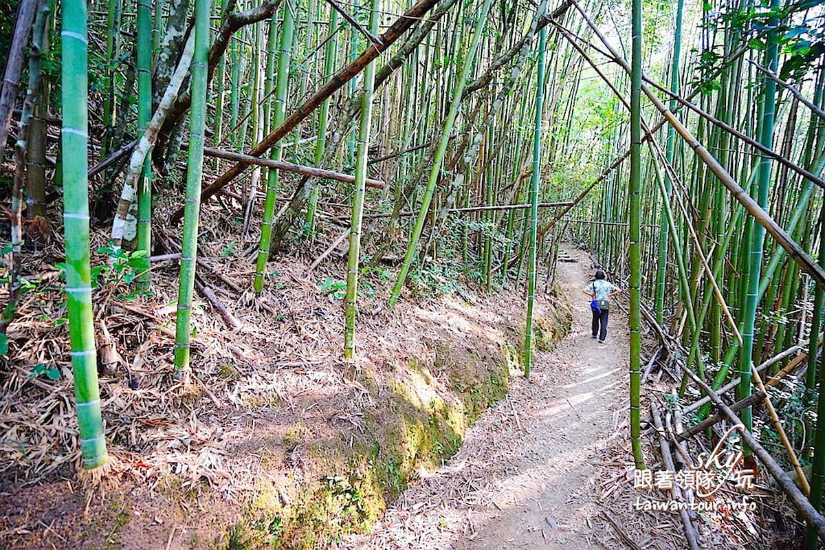 在地人才知!北中南親子玩水6祕境:世界最大水龍頭池、水濂洞瀑布、內雙溪畔 在地人才知!北中南親子玩水6祕境:世界最大水龍頭池、水濂洞瀑布、內雙溪畔