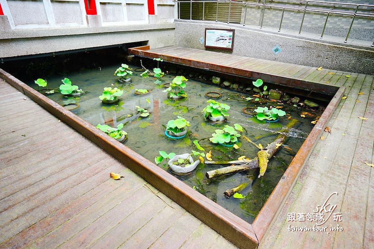 在地人才知!北中南親子玩水6祕境:世界最大水龍頭池、水濂洞瀑布、內雙溪畔 在地人才知!北中南親子玩水6祕境:世界最大水龍頭池、水濂洞瀑布、內雙溪畔
