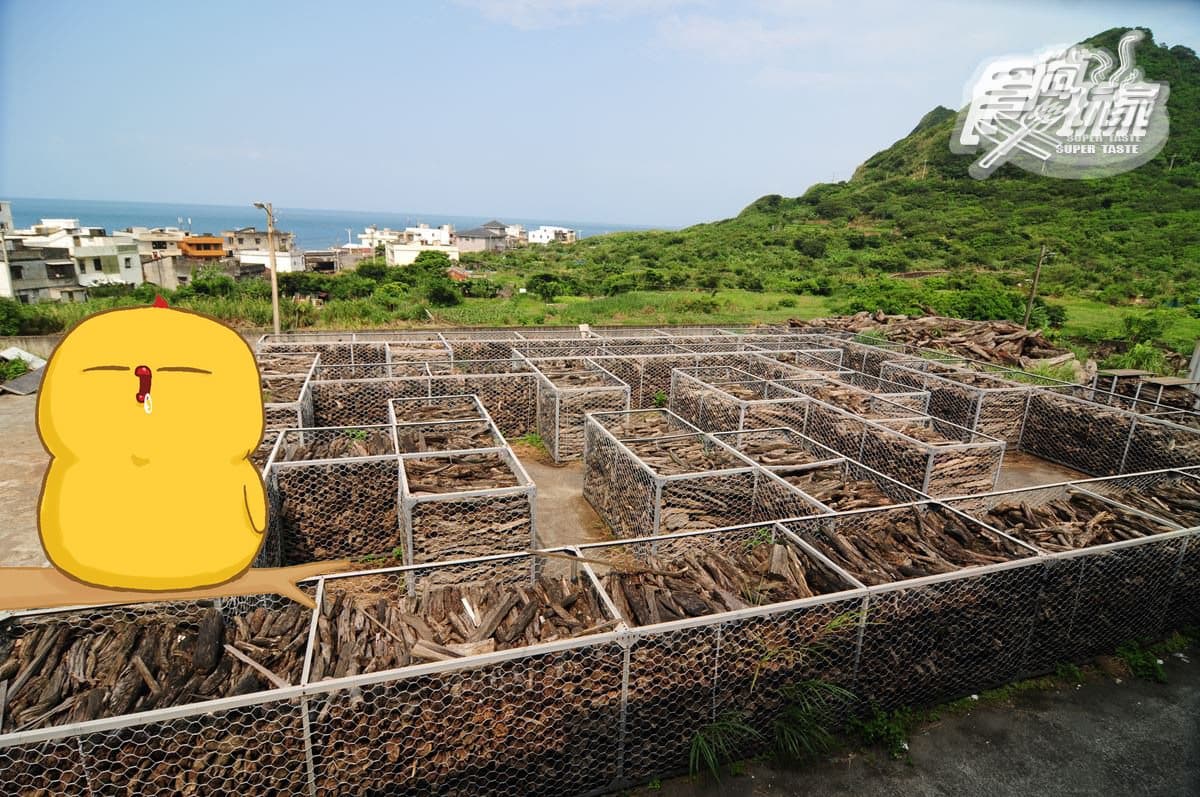 「萬里→三芝」消暑一日遊10亮點:透明星空帳篷、3色拉花怪岩、漂流木迷宮、飛行傘 「萬里→三芝」消暑一日遊10亮點:透明星空帳篷、3色拉花怪岩、漂流木迷宮、飛行傘