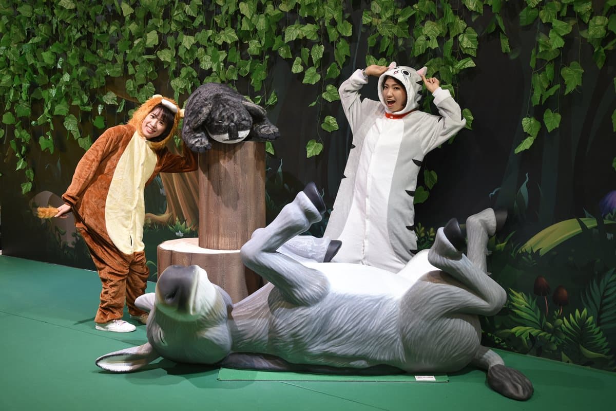 高雄人走囉!超萌的「休眠動物園真人版」在這,五大主題區超好拍 高雄人走囉!超萌的「休眠動物園真人版」在這,五大主題區超好拍