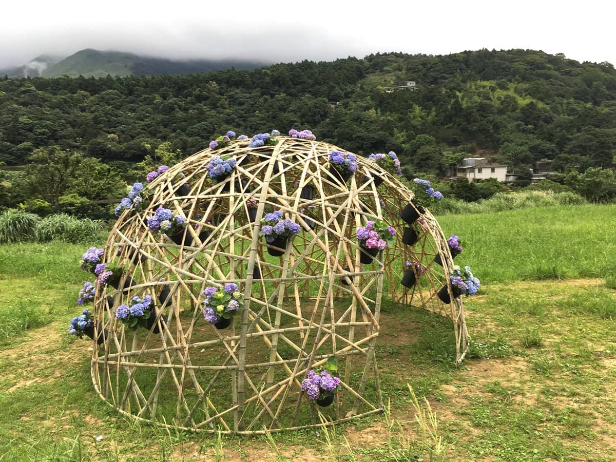 「繡球花野餐」免入園費!繡球花地景+音樂會拍好拍滿 「繡球花野餐」免入園費!繡球花地景+音樂會拍好拍滿