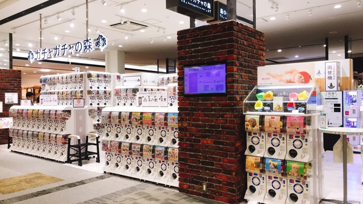 去日本就逛這!吃小小兵31冰、買限定色家電、NIKO AND等200個品牌 去日本就逛這!吃小小兵31冰、買限定色家電、NIKO AND等200個品牌