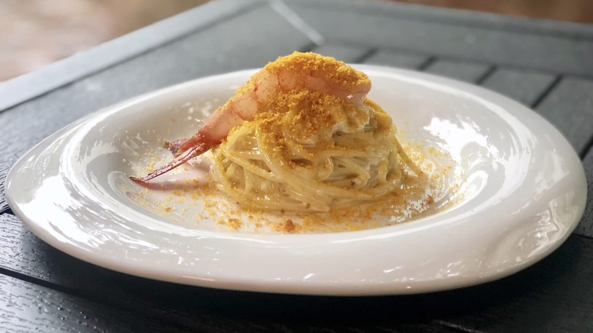 【新開店】台北人衝了!百年日式老宅,套餐好強:生海膽+牛菲力+葡萄蝦 【新開店】台北人衝了!百年日式老宅,套餐好強:生海膽+牛菲力+葡萄蝦