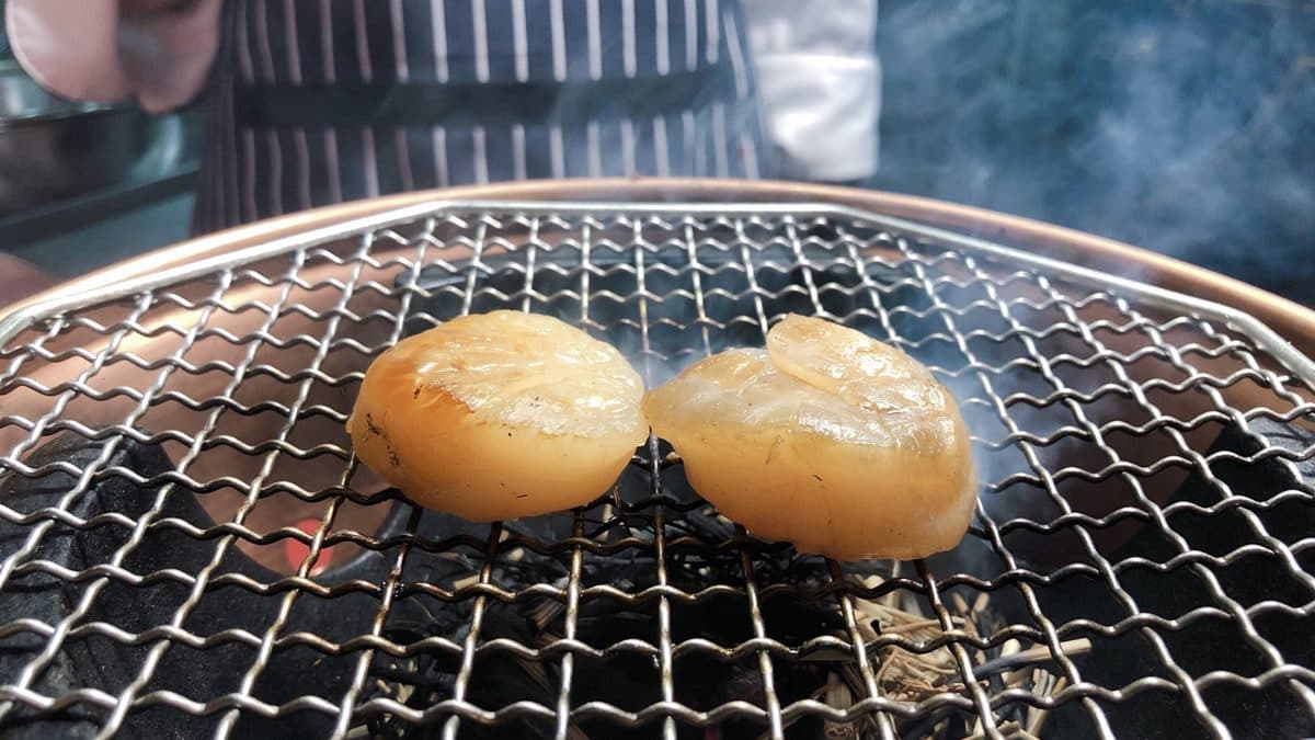 【新開店】台北人衝了!百年日式老宅,套餐好強:生海膽+牛菲力+葡萄蝦 【新開店】台北人衝了!百年日式老宅,套餐好強:生海膽+牛菲力+葡萄蝦