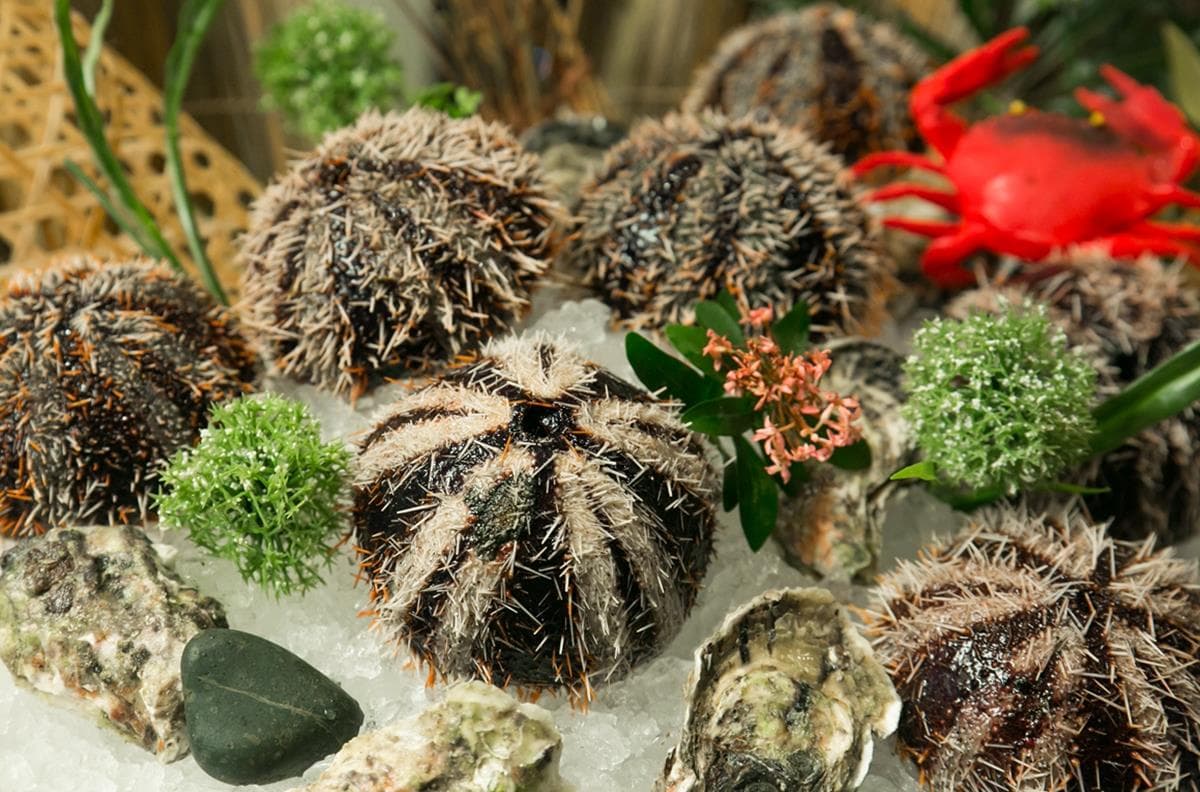 高CP值!北中南最強「吃到飽」35家:火鍋、燒烤、港點、飯店buffet 高CP值!北中南最強「吃到飽」35家:火鍋、燒烤、港點、飯店buffet