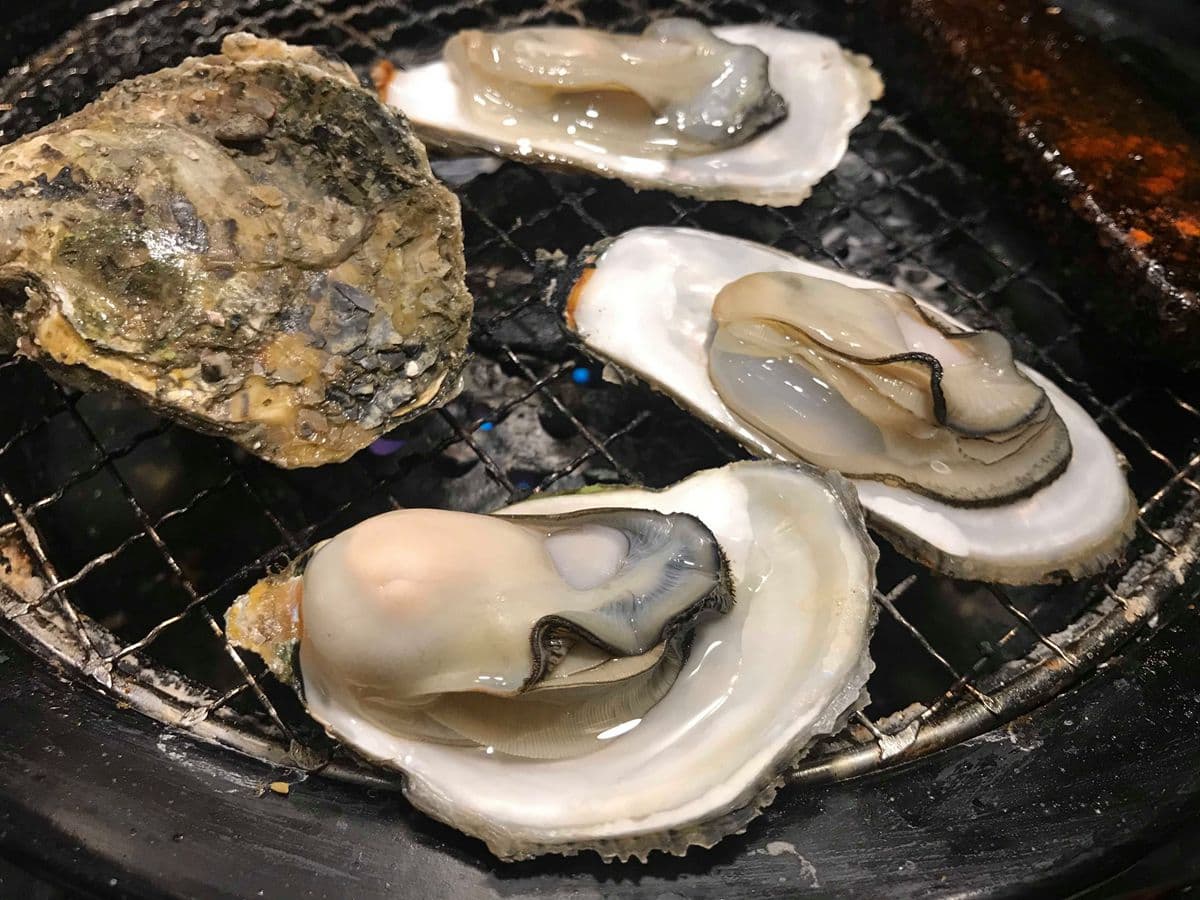 高CP值!北中南最強「吃到飽」35家:火鍋、燒烤、港點、飯店buffet 高CP值!北中南最強「吃到飽」35家:火鍋、燒烤、港點、飯店buffet