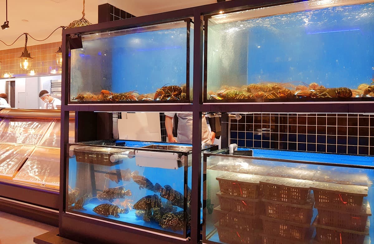 龍蝦、鮑魚200元有找!「祥富水產2.0」在高雄,玩再晚也能吃 龍蝦、鮑魚200元有找!「祥富水產2.0」在高雄,玩再晚也能吃