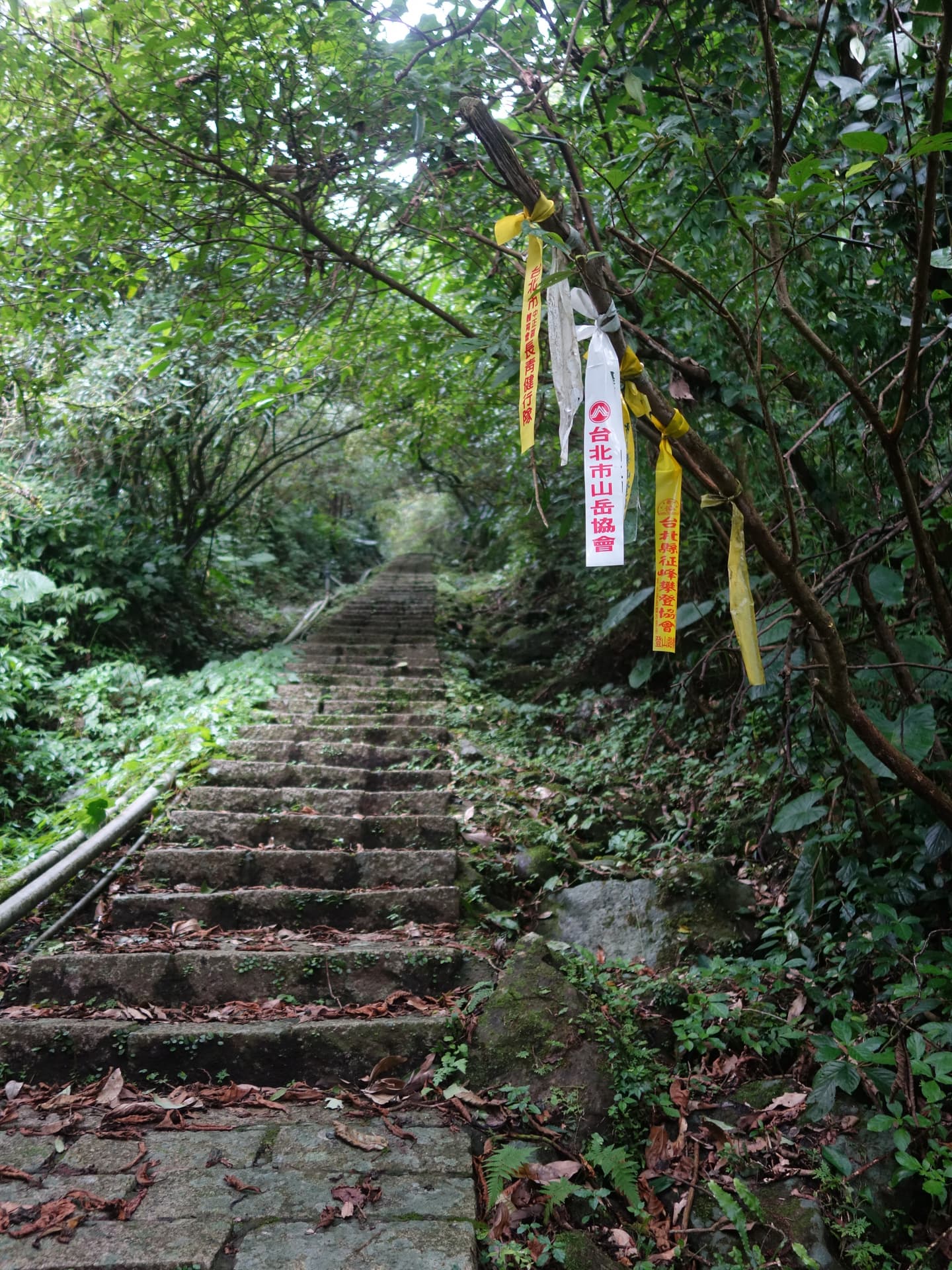 傳說中的「魔神仔洞」在這!天然形成的?礦業留下來的遺跡? 傳說中的「魔神仔洞」在這!天然形成的?礦業留下來的遺跡?