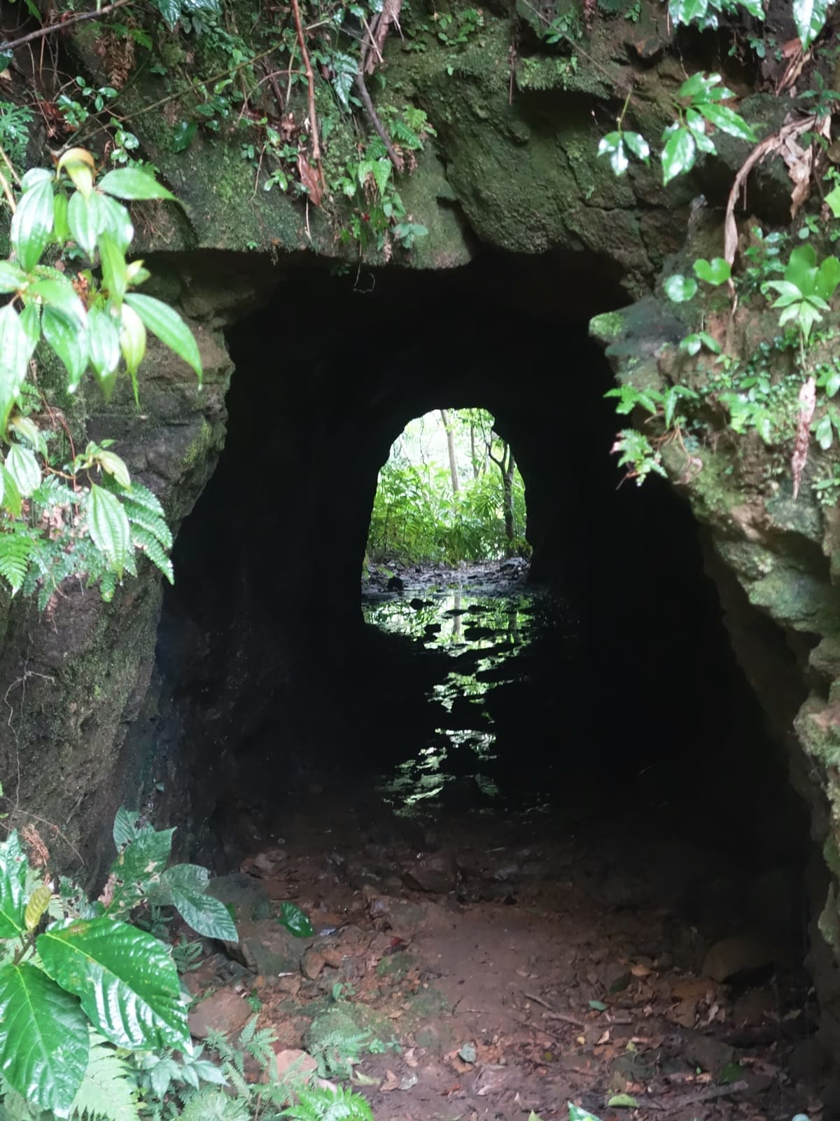 傳說中的「魔神仔洞」在這!天然形成的?礦業留下來的遺跡? 傳說中的「魔神仔洞」在這!天然形成的?礦業留下來的遺跡?