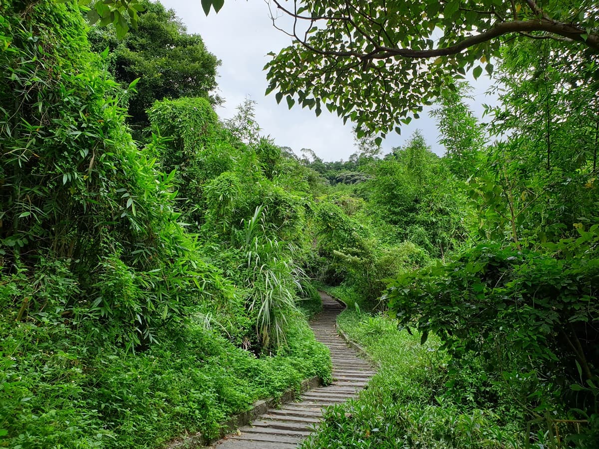 新北9古道這樣玩!「土匪大道」野餐、「山羊洞」探險、「燦光寮」美拍 新北9古道這樣玩!「土匪大道」野餐、「山羊洞」探險、「燦光寮」美拍