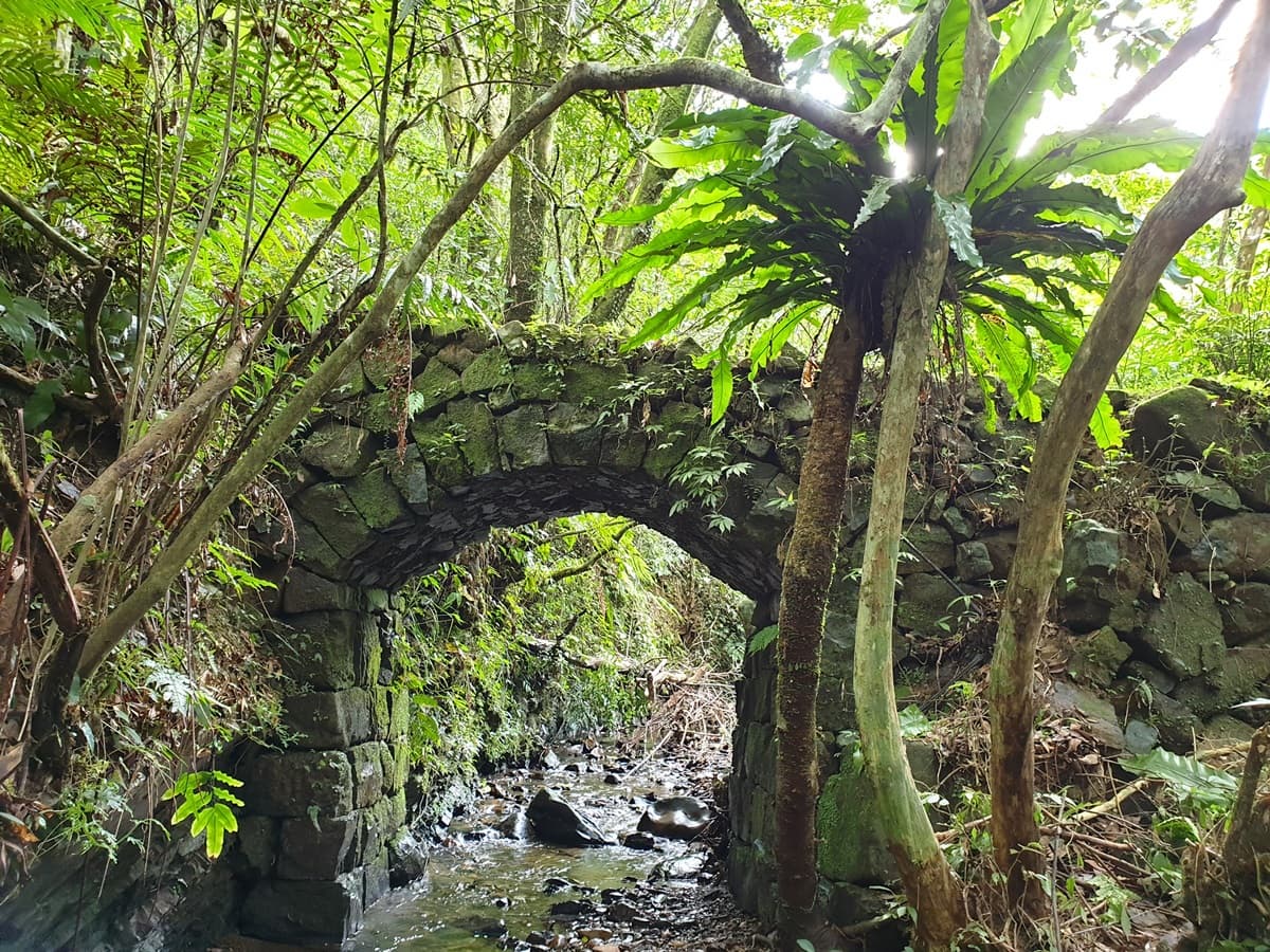 新北9古道這樣玩!「土匪大道」野餐、「山羊洞」探險、「燦光寮」美拍 新北9古道這樣玩!「土匪大道」野餐、「山羊洞」探險、「燦光寮」美拍