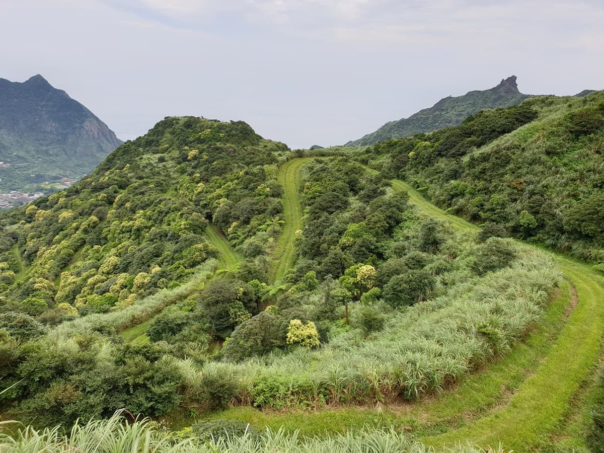 新北9古道這樣玩!「土匪大道」野餐、「山羊洞」探險、「燦光寮」美拍 新北9古道這樣玩!「土匪大道」野餐、「山羊洞」探險、「燦光寮」美拍