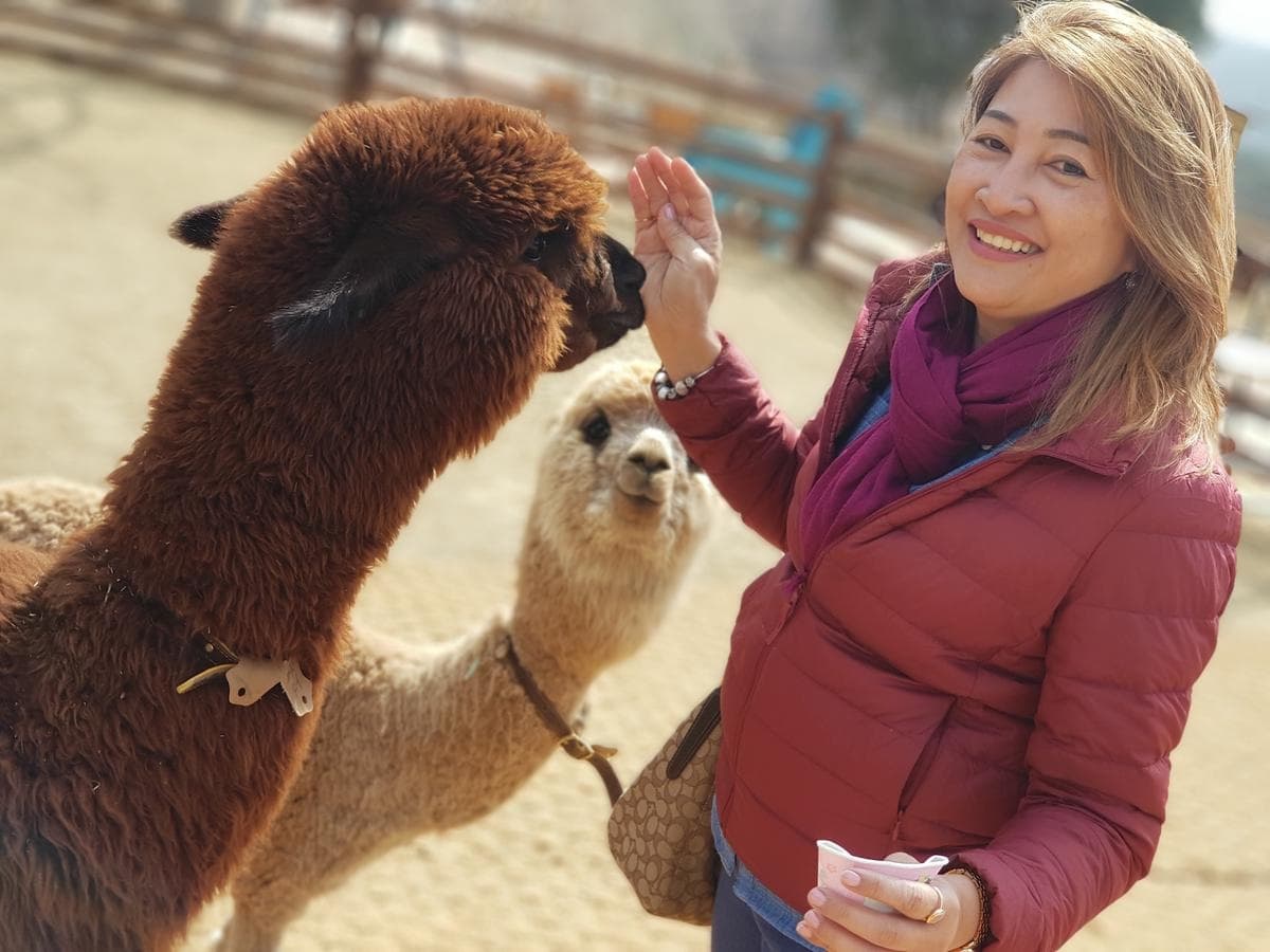 IG重症者必收!全球「10大最強網美景點」出爐,台灣「仙境級」祕洞入榜 IG重症者必收!全球「10大最強網美景點」出爐,台灣「仙境級」祕洞入榜